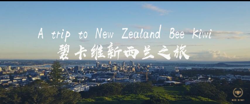 碧卡维新西兰宣传片——品牌宣传的典范